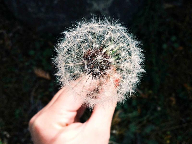 FarenYorelVirel Santiago de los Caballeros